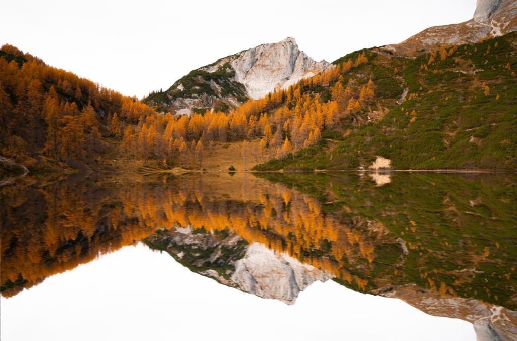 Haus Bergzauber Διαμέρισμα Ramsau am Dachstein Δωμάτιο φωτογραφία
