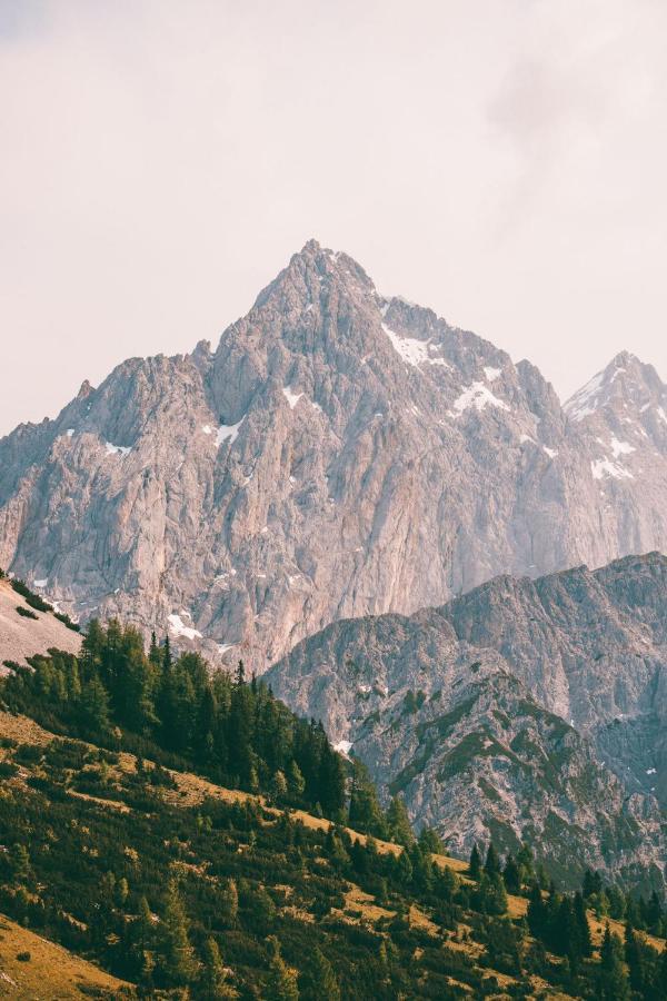 Haus Bergzauber Διαμέρισμα Ramsau am Dachstein Εξωτερικό φωτογραφία