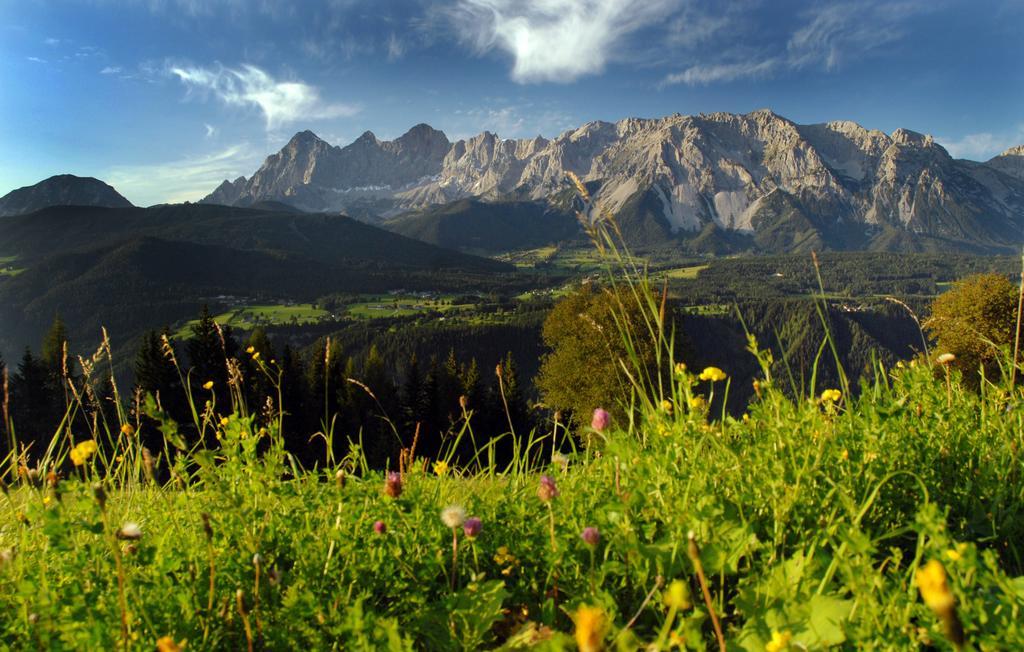 Haus Bergzauber Διαμέρισμα Ramsau am Dachstein Εξωτερικό φωτογραφία